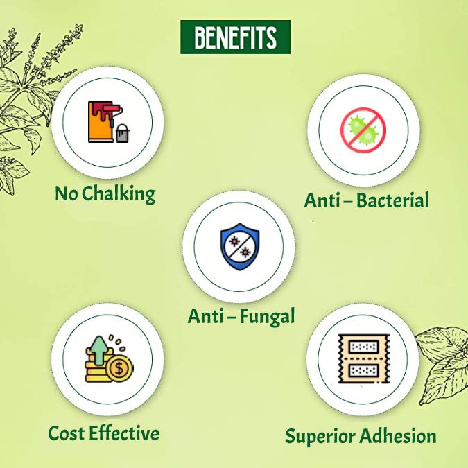 Devatri Ecological Wall Putty