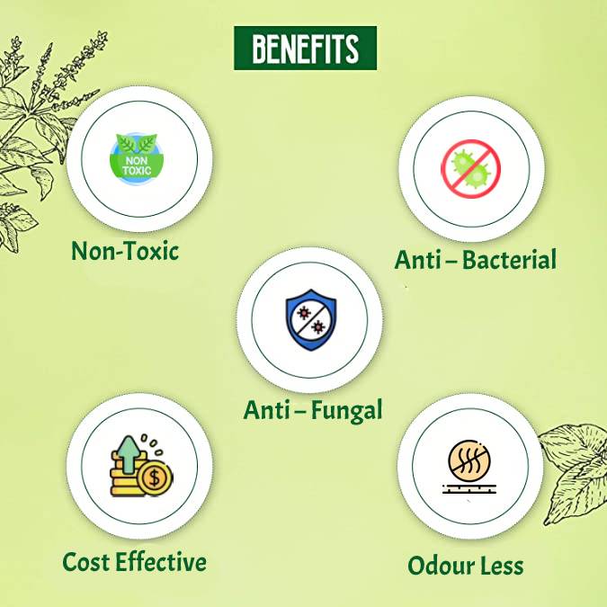 Devatri Ecotone Ultra Premium Distemper Cow Dung Paint