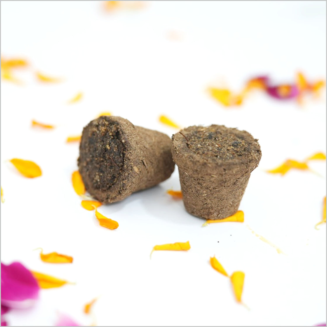 Devashrya Sambrani Cups