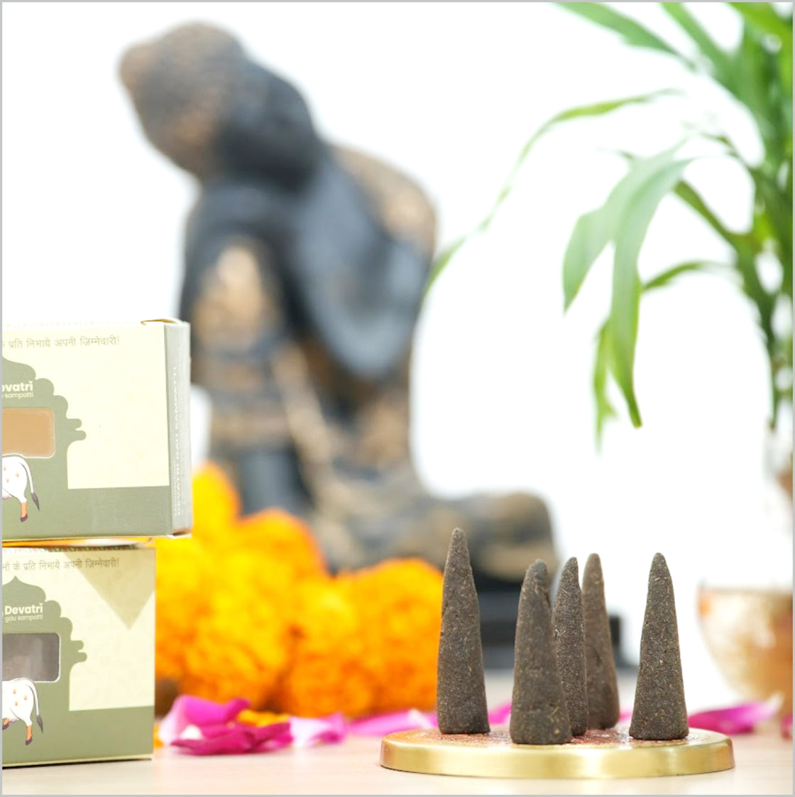 Devashrya Incense Cones